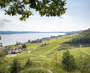 Vully valley Vully valley